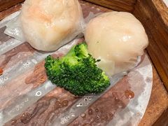 -粤食堂(天津和悦汇店)