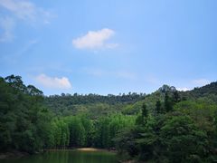 -滴水岩森林公园