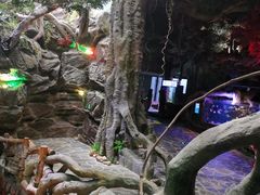 -多彩贵州城极地海洋世界