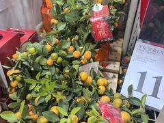 -山姆会员商店(亦庄创意生活广场店)