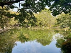 -望江楼公园