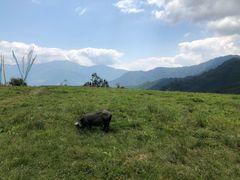 -硗碛藏寨·神木垒景区