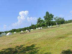 -苏州太湖国家湿地公园
