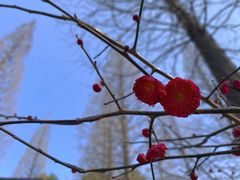 -宝岩生态观光园