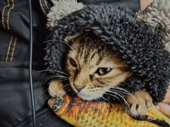 -桂桂茶(歌斐中心店)