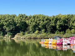 -大兴滨河森林公园