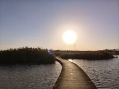 -盐城丹顶鹤湿地生态旅游区