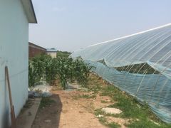 -万源龙顺度假庄园生态观光园