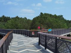 -东寨港红树林旅游区