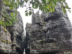 -梭布垭石林景区