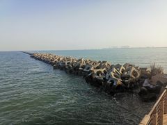 -东疆建设开发纪念公园