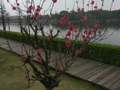 -南国桃园旅游度假区