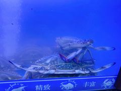 -星记小馆·小蓝龙·老南京砂锅菜(上海路店)