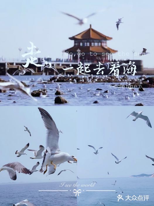 栈桥景区图片