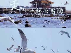 -栈桥景区
