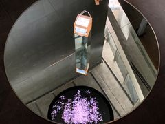 -知美术馆