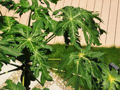 -随园花园餐厅(新港中路店)