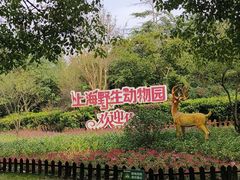 -上海野生动物园