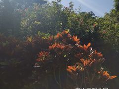 -云溪植物园