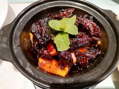 炆火牛肉配金瓜-大树餐厅(益田假日店)