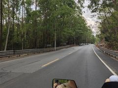 -田心森林公园