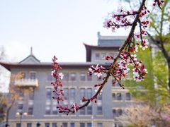 -山东大学(趵突泉校区)