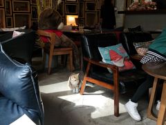 大堂-咖法森林·咖啡  酒吧(天河店)