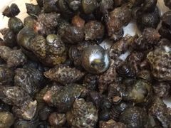 -青岛第三海水浴场