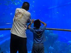 -成都浩海立方海洋公园