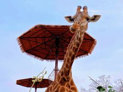 -济南野生动物世界