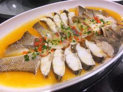 -宝轩渔府·老字号海鲜·正宗津菜(水上店)