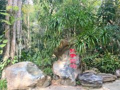 -中国科学院西双版纳热带植物园