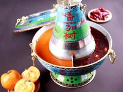 -清真·噃茄树黄柿子火锅