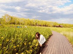 -永定河休闲森林公园