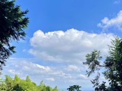 -长沙黑麋峰国家森林公园