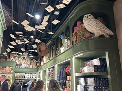 -九又四分之三站台哈利波特商店