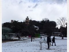 -金泽21世纪美术馆