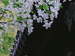 -莫愁湖公园