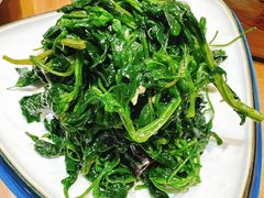 -真定郝家排骨(大十字街店)