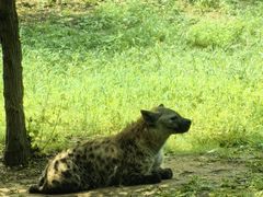 -秦皇岛野生动物园