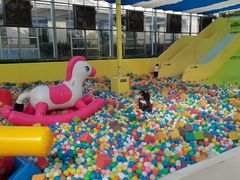 -南宫五洲植物乐园