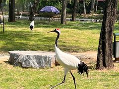 -秦皇岛野生动物园