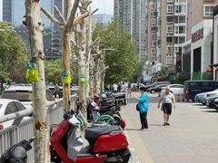 -阿五黄河大鲤鱼(英协路店)