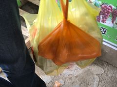 -马陆小张葡萄园农家乐