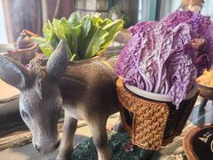 -慢丽江·云南野生菌土鸡锅(付家庄店)