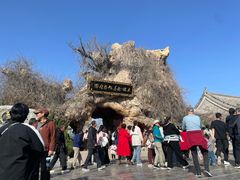 -大槐树寻根祭祖园