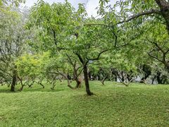 -贵阳市花溪国家城市湿地公园