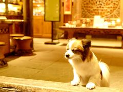 -院8里·少城记忆老川菜(宽窄巷子店)