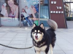 -木渎影视城
