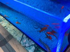 -海底捞火锅(长宁路龙之梦店)